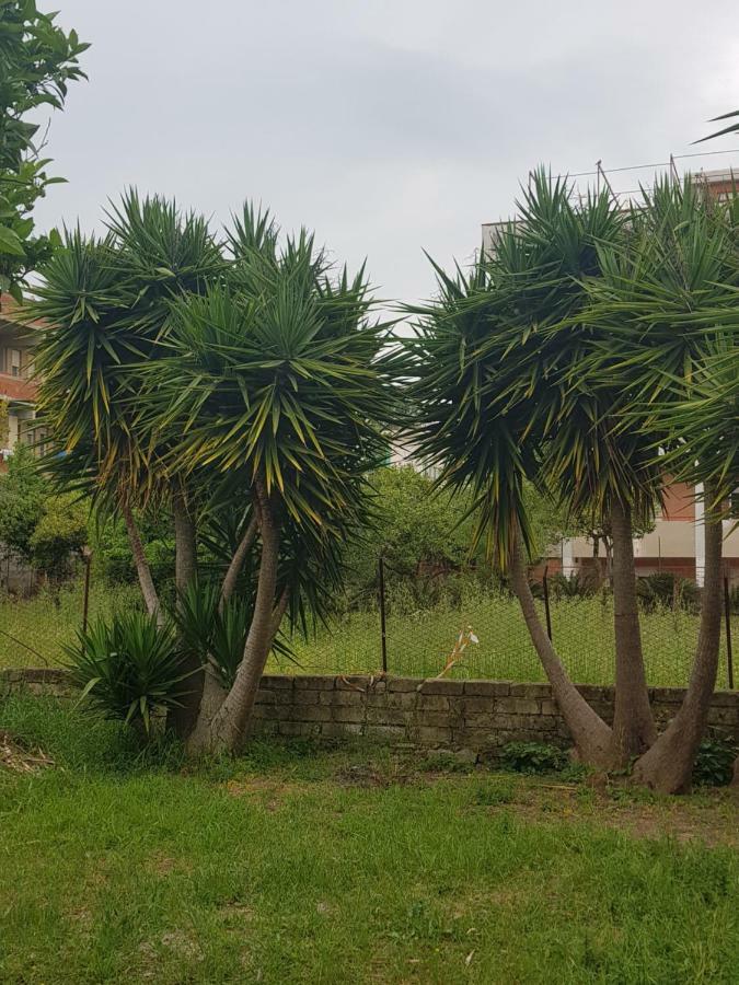 "Il Nespolo" Villa Scauri  Eksteriør bilde